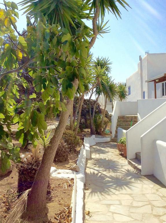 Manos Apartment Platys Gialos (Mykonos)